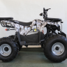 Детский электроквадроцикл GreenCamel Атакама T240 1000W R8 20Ah