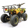 Квадроцикл GreenCamel Гоби K40 (36V 800W R6 Цепь) быстросъем