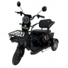 Трицикл GreenCamel GT Фродо EV3 (60V 1200W R8) дифференциал