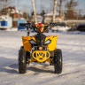 Детский электроквадроцикл WHITE SIBERIA SNEG LETO R BLUE